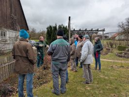 Praxiskurs Rosenschnitt