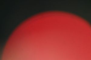 Pressekonferenz zur Sitzung des Stabilitätsrats