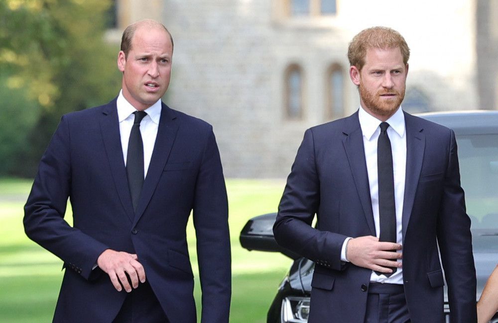 Prinz Harry und Prinz William