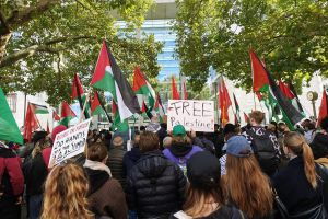 Pro-Palästina-Demo in Berlin (Archiv)