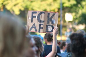 Protest gegen die AfD (Archiv)