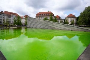 Protestbewegung färbt Brunnenwasser grün