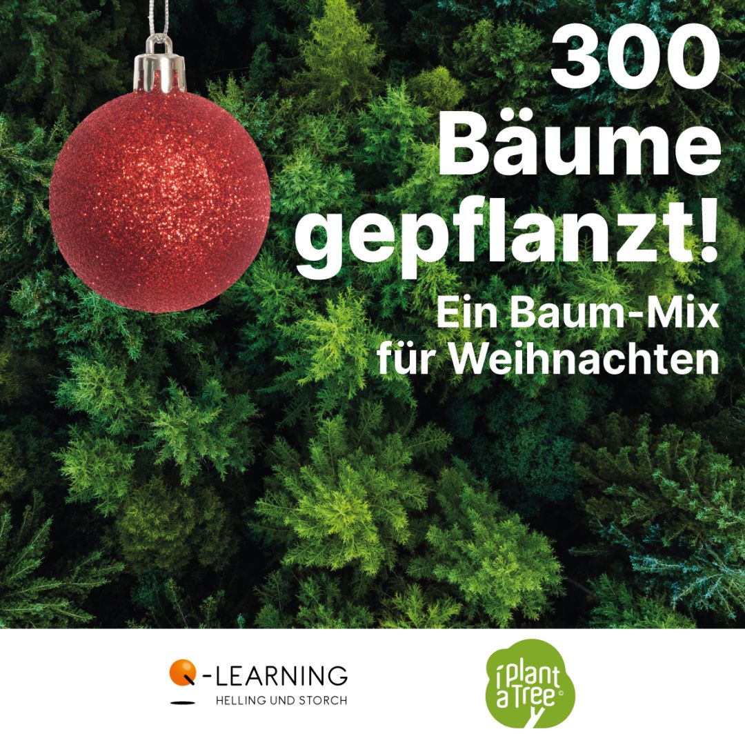 Q-LEARNING pflanzt 300 Bäume zu Weihnachten