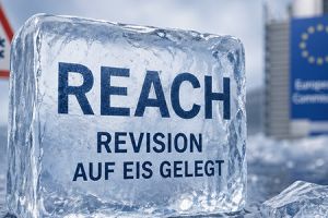REACH-Revision gestoppt