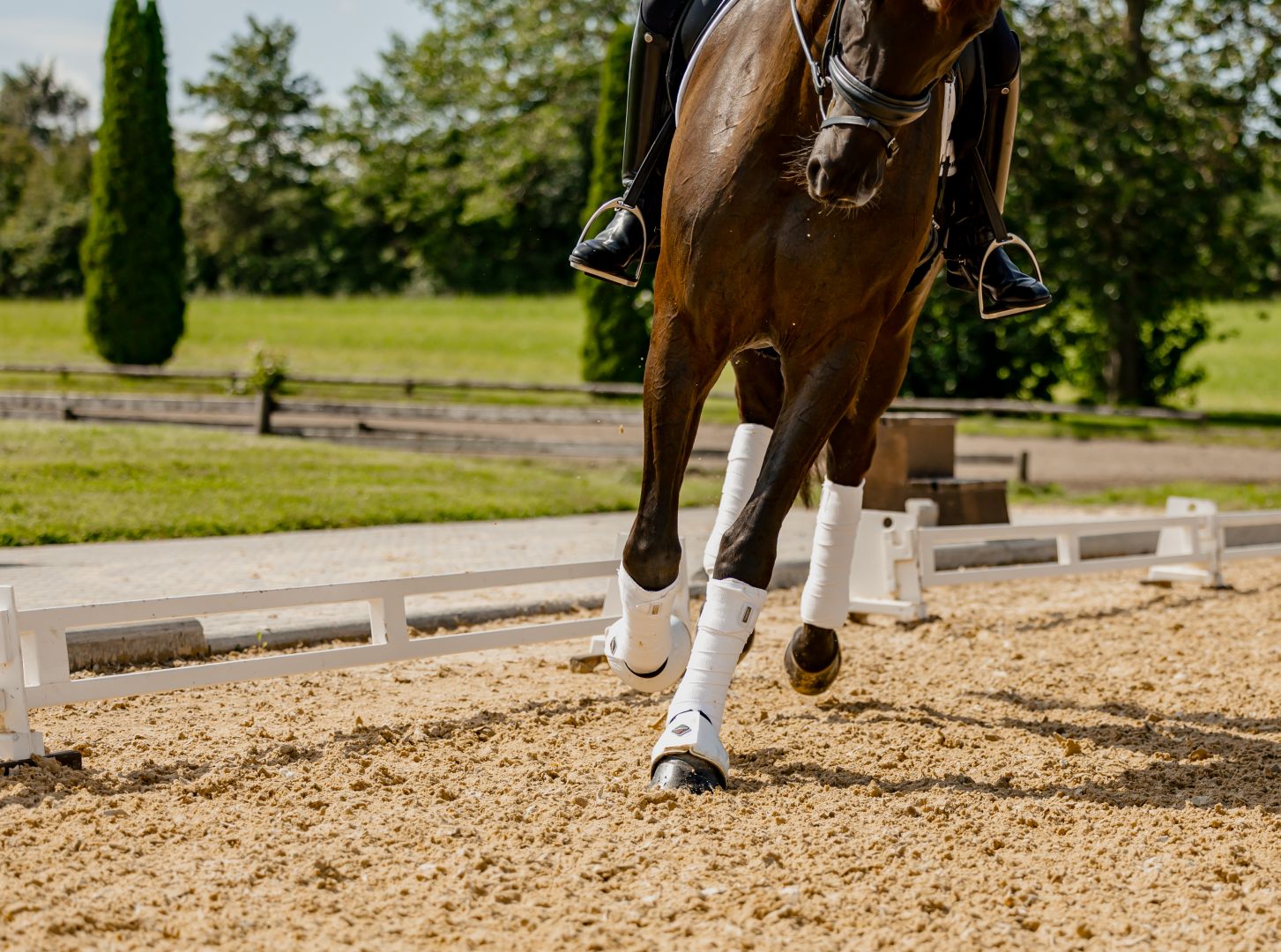 Reitplatzbau mit System -