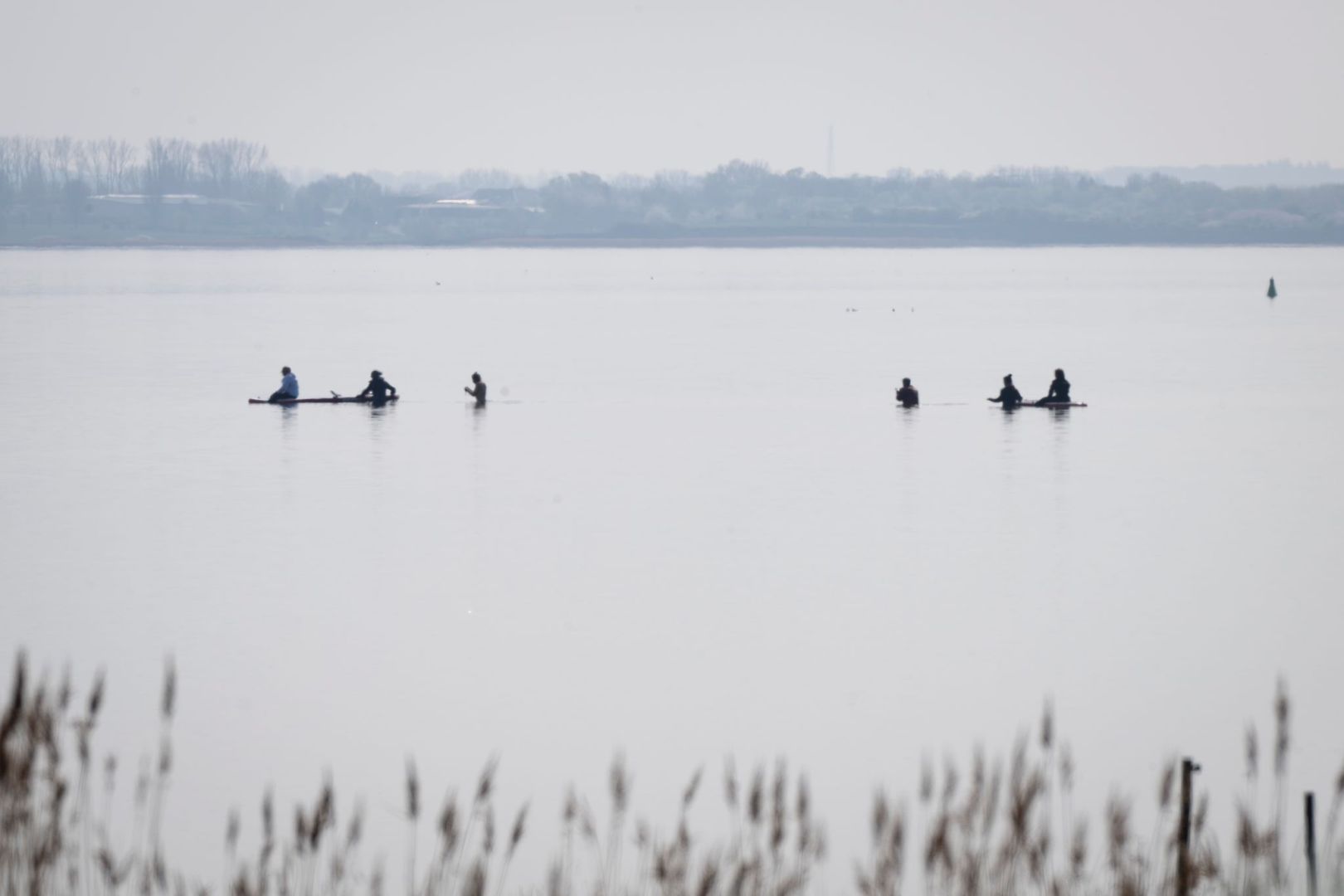 Rettungsaktion für den Buckelwal