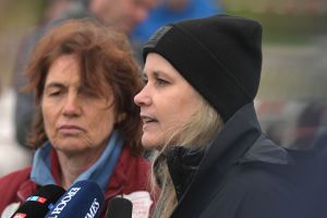 Rettungsaktion für den Buckelwal