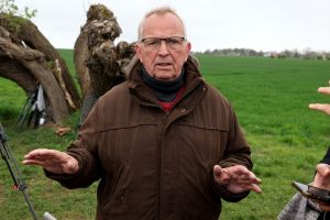 Rettungsaktion für den Buckelwal