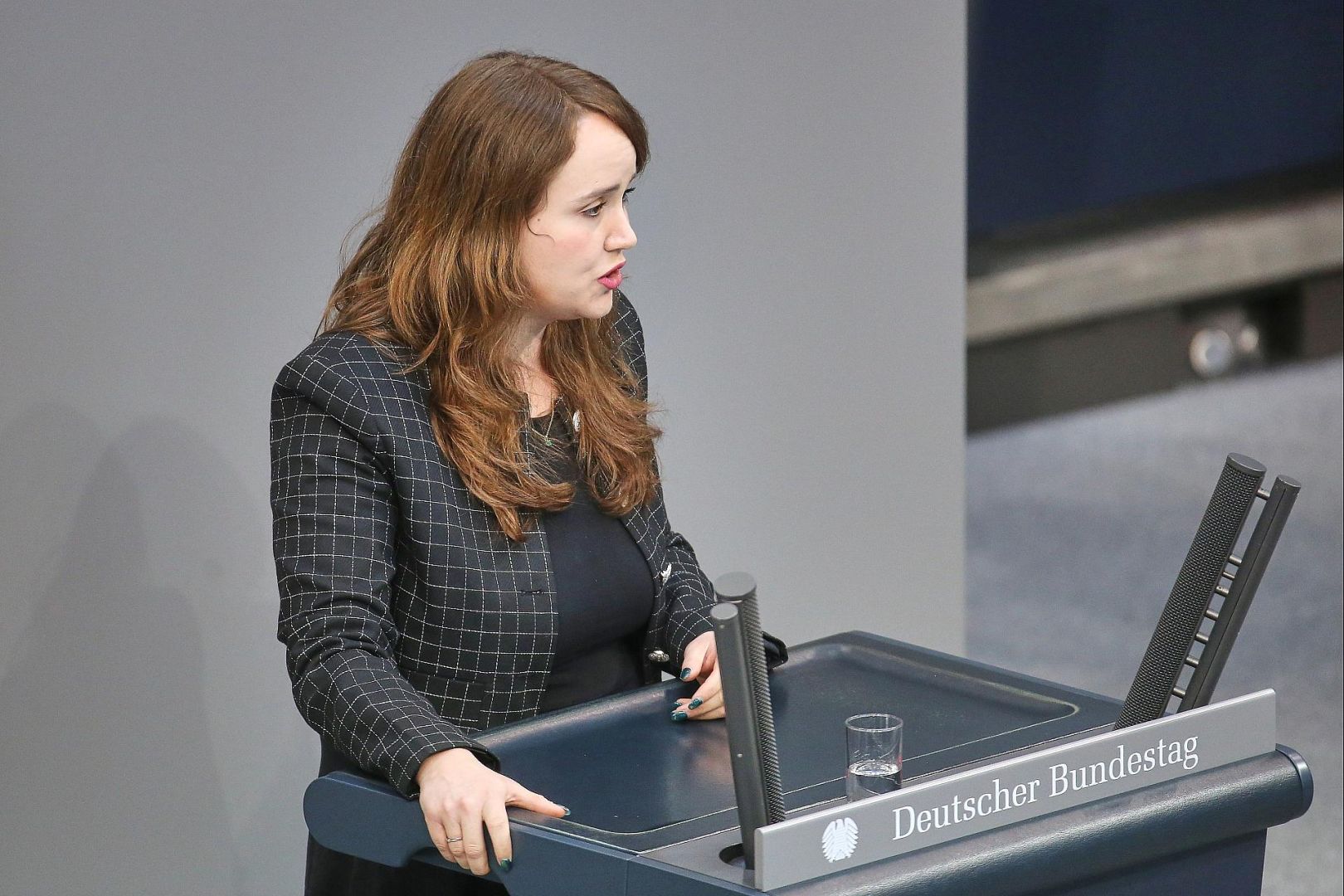 Ricarda Lang (Archiv)