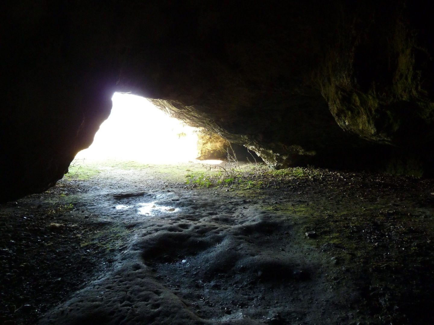 Riegelbergführung – Natur, Geschichte und Geologie