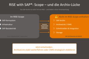 RISE with SAP: Warum das SAP-Archiv eine eigene strategische Entscheidung ist