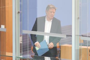Robert Habeck (Archiv)