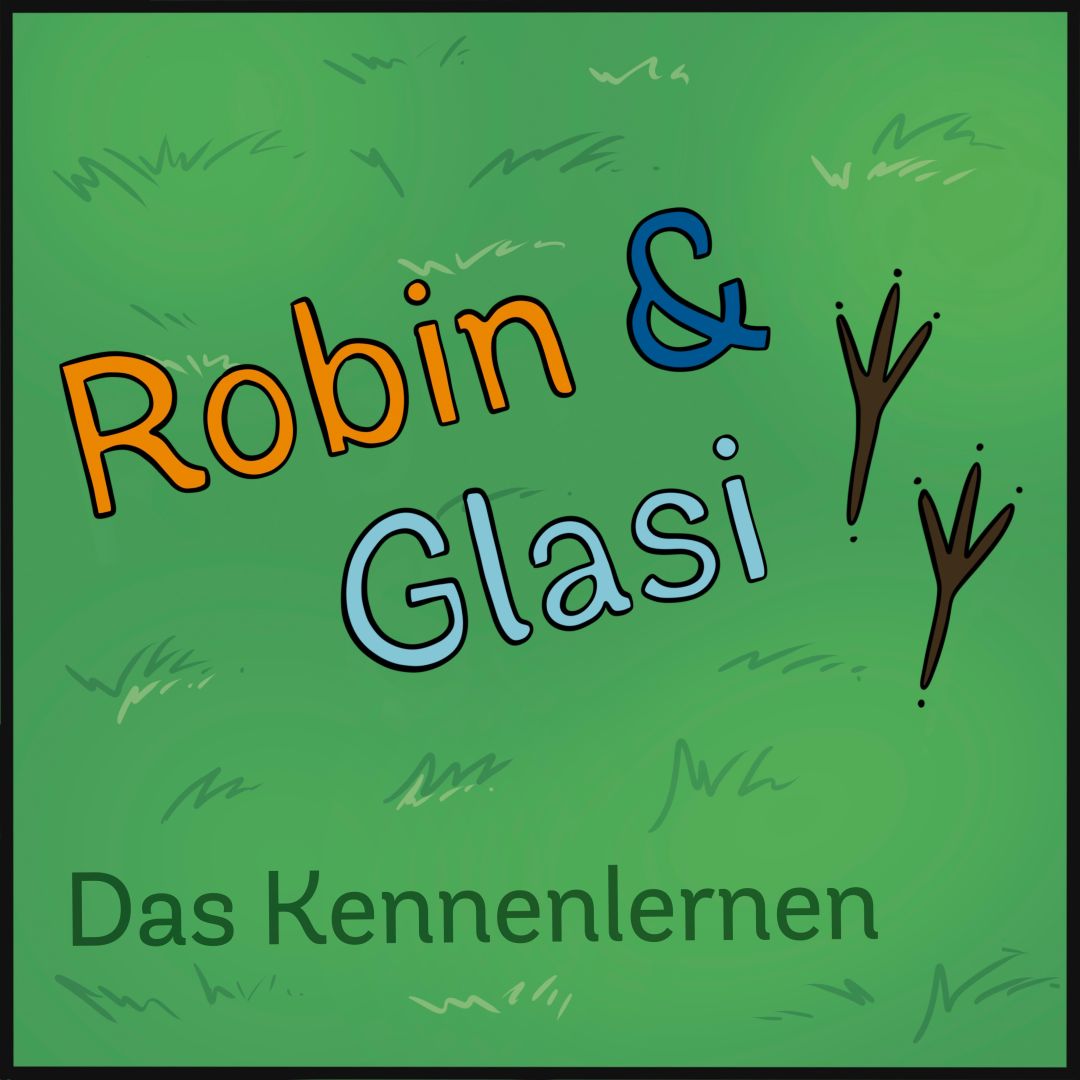 Robin auf Mission