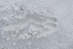 Rockstone News - Wenn Quarzsand strategisch wird: Von Natur aus ultrarein, durch Design transformativ