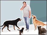 RTL bringt «Die Unvermittelbaren» zurück