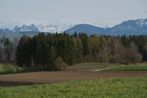 ruhige szenerie mit üppigen wäldern und schneebedeckten bergen im hintergrund, der perfekte rückzugsort in der natur.
