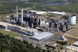RWE pausiert Offshore-Projekte in den USA – höhere Hürden für künftige Investitionen