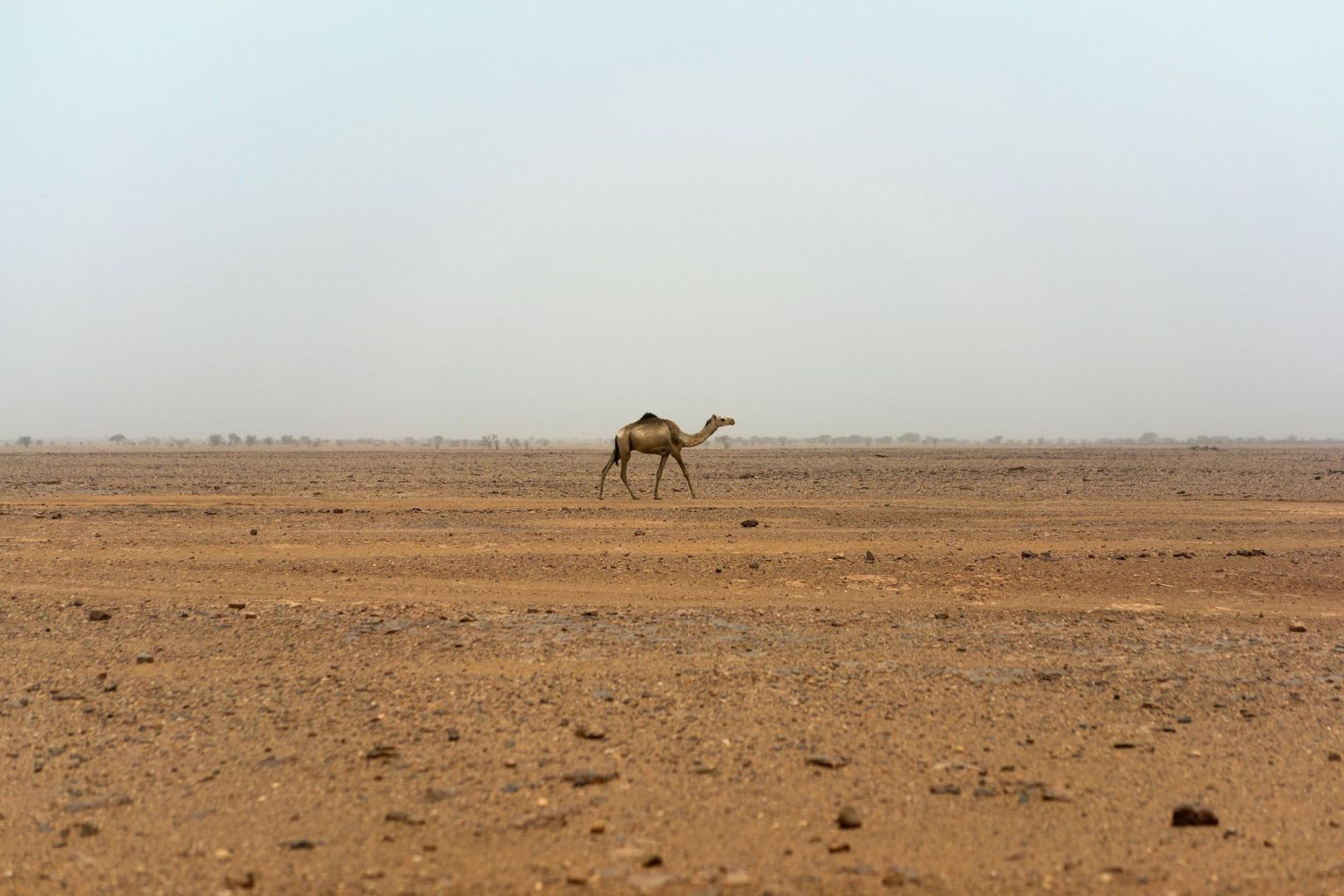 Sahara im Niger