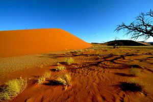 Sanddünen in Sossusvlei