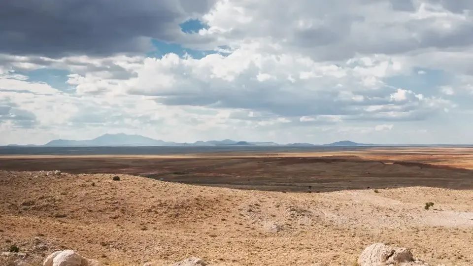 Schatzsuche im Elephant Country: Prismo Metals stößt in Arizona auf die Spur eines Giganten