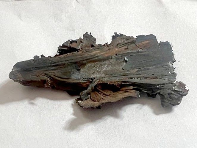 Schienengüterverkehr, lauter denn je!