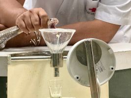 Schlangenfarm in Bangkok zur Herstellung von Antiserum