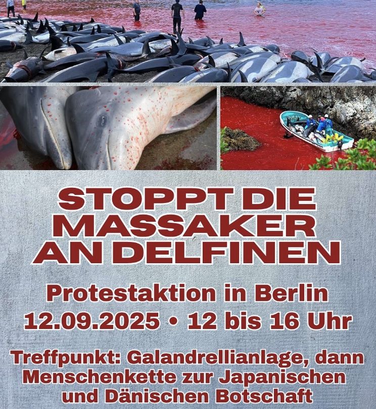 Schluss mit brutalen Delfinmassakern!