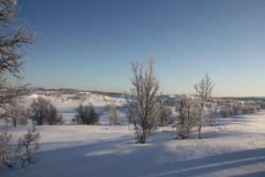 schnee, bäume, winter, snow, landscape, nature, trees, cold, white, house