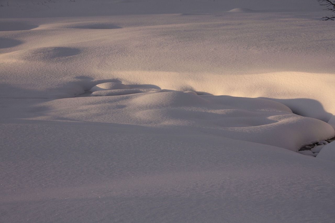 schnee, eis, bach, ice, winter, snow, cold, frozen, magic, nature