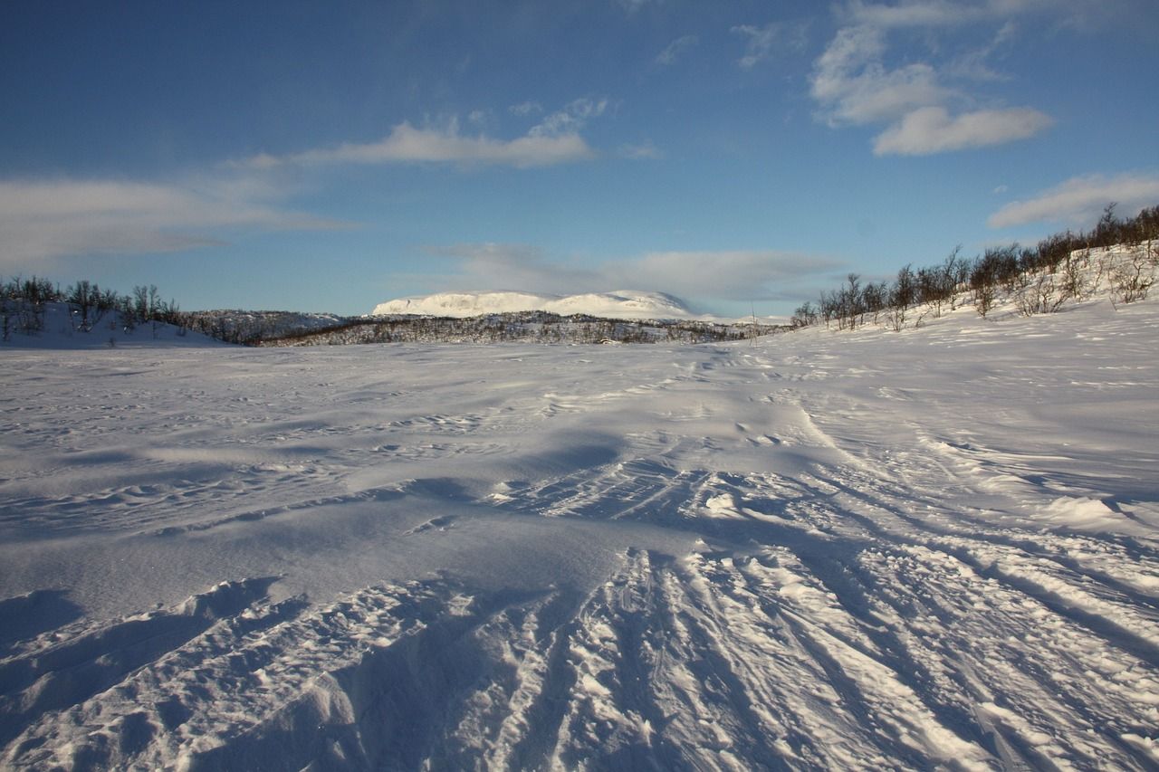 schnee, eis, ice, winter, snow, cold, frozen, frost, magic, nature