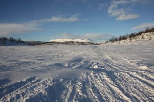 schnee, eis, ice, winter, snow, cold, frozen, frost, magic, nature