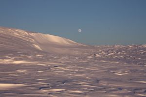 schnee, kälte, winter, snow, cold, nature, white, landscape, ice, frozen