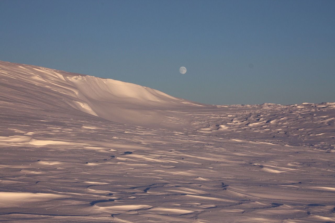 schnee, kälte, winter, snow, cold, nature, white, landscape, ice, frozen, magic, outdoors, moon