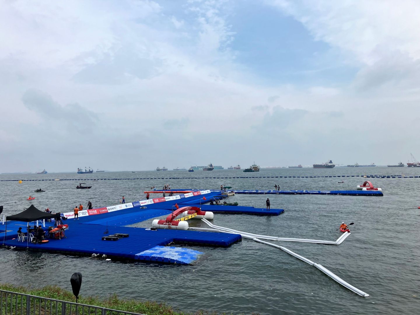 Schwimm-WM in Singapur