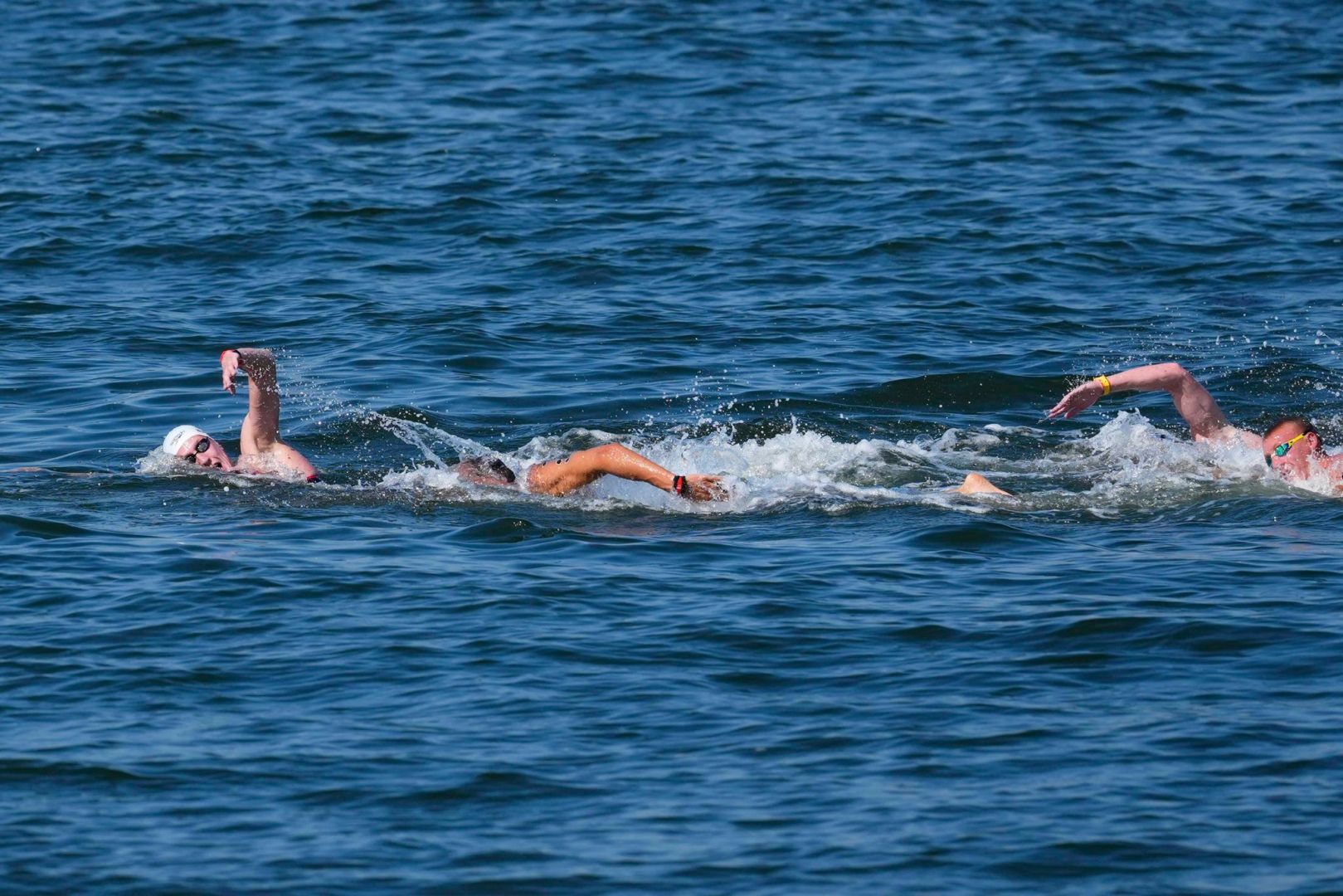 Schwimm-WM in Singapur - Freiwasser