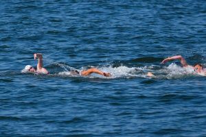 Schwimm-WM in Singapur - Freiwasser