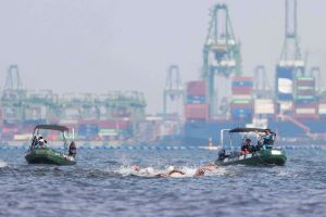 Schwimm-WM in Singapur - Freiwasser Schwimmen