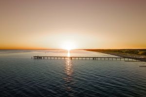 Seebrückenfest 2025: Ein unvergessliches Familienwochenende in Graal-Müritz