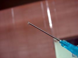 Semaglutid und Co: Können die Abnehmspritzen auch Drogensüchtigen helfen?