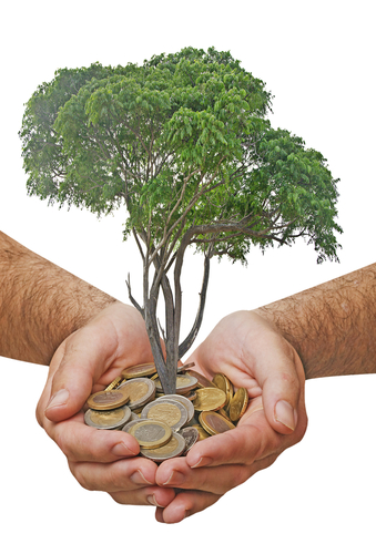 Grne Geldanlagen  fr jeden Anlegertyp das passende Produkt