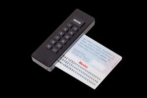 Sicherer Fernzugriff für Remote-Work-Szenarien
