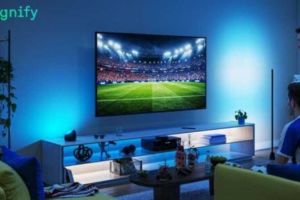 Signify – Die Immersion spielt eine zentrale Rolle