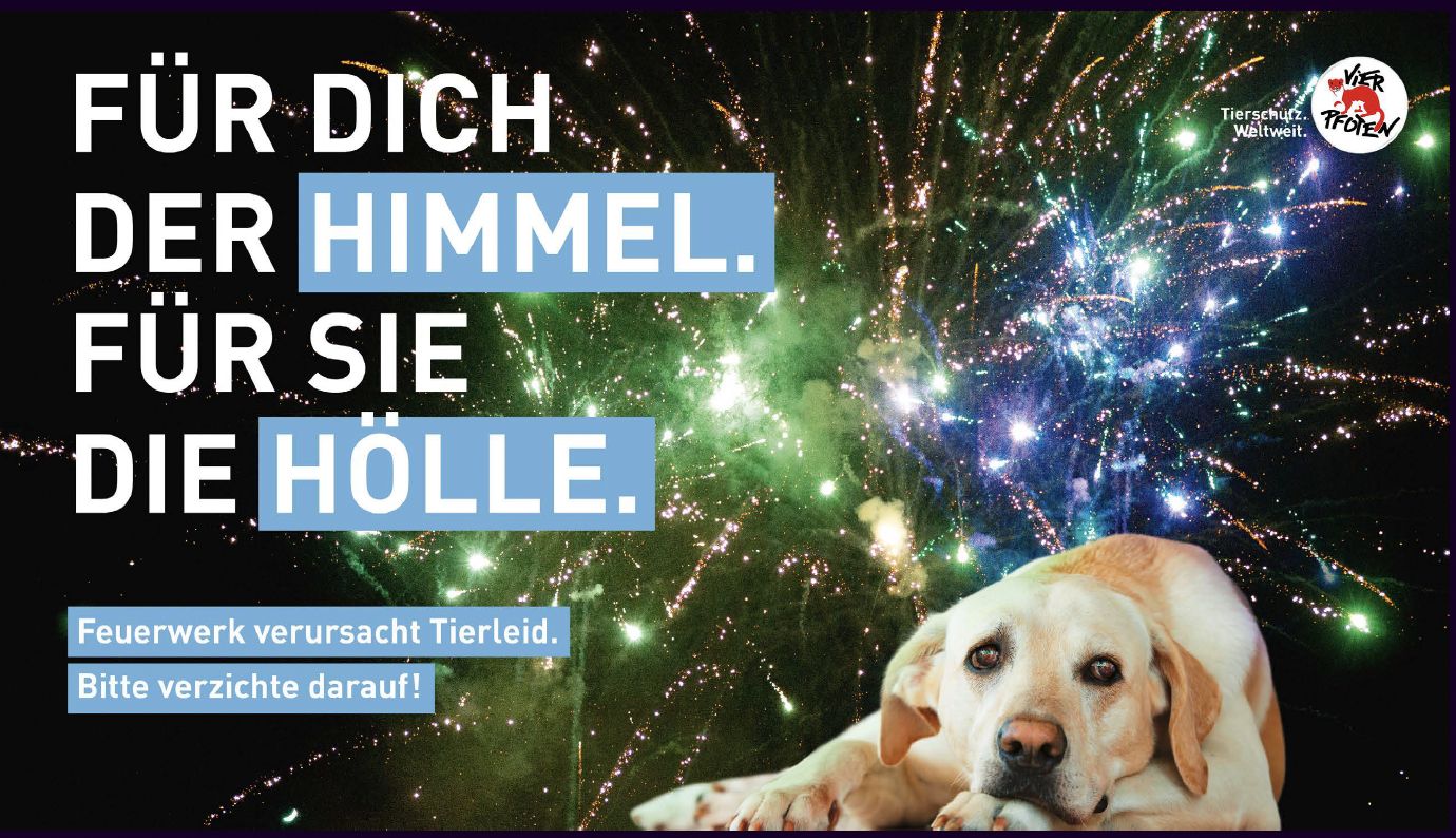 Silvester? Bitte böllerfrei!