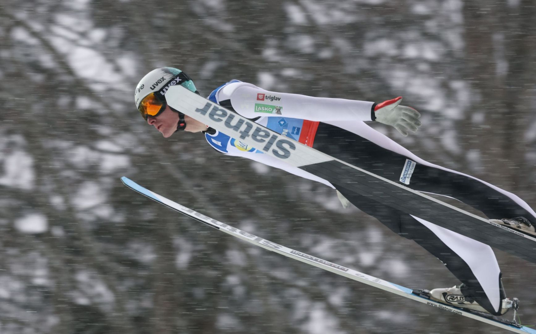 Ski nordisch/Skispringen: Weltmeisterschaft
