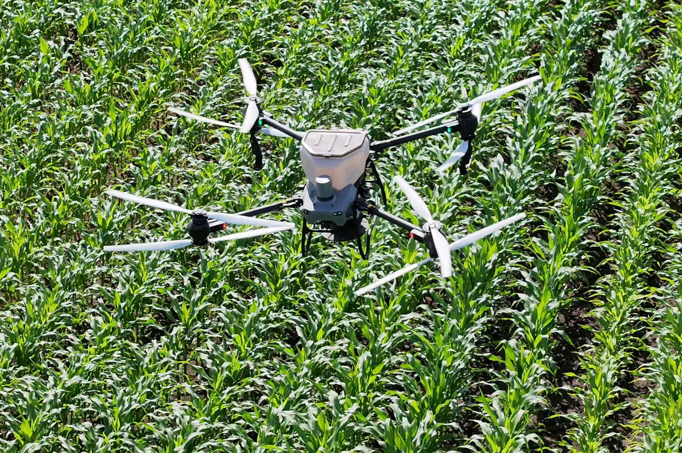 Smart Farming mit Hightech-Drohnen