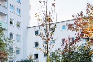 Smarte Baumbewässerung für klimaresiliente Quartiere