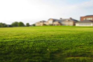 Smarte Bewässerung neu gedacht: Aiper setzt auf Hydrozoning