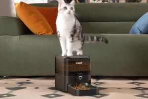 Smarte Futterautomaten für eure Haustiere