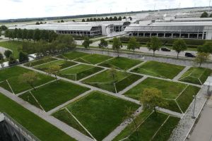 So grün kann Dämmung sein