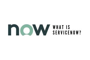 Software-Sektor im Ausverkauf – warum Analysten bei ServiceNow, Shopify & Co. wieder zugreifen